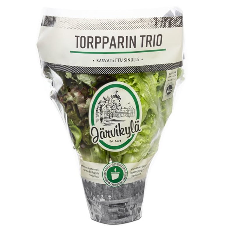 Torpparin trio Järvikylä