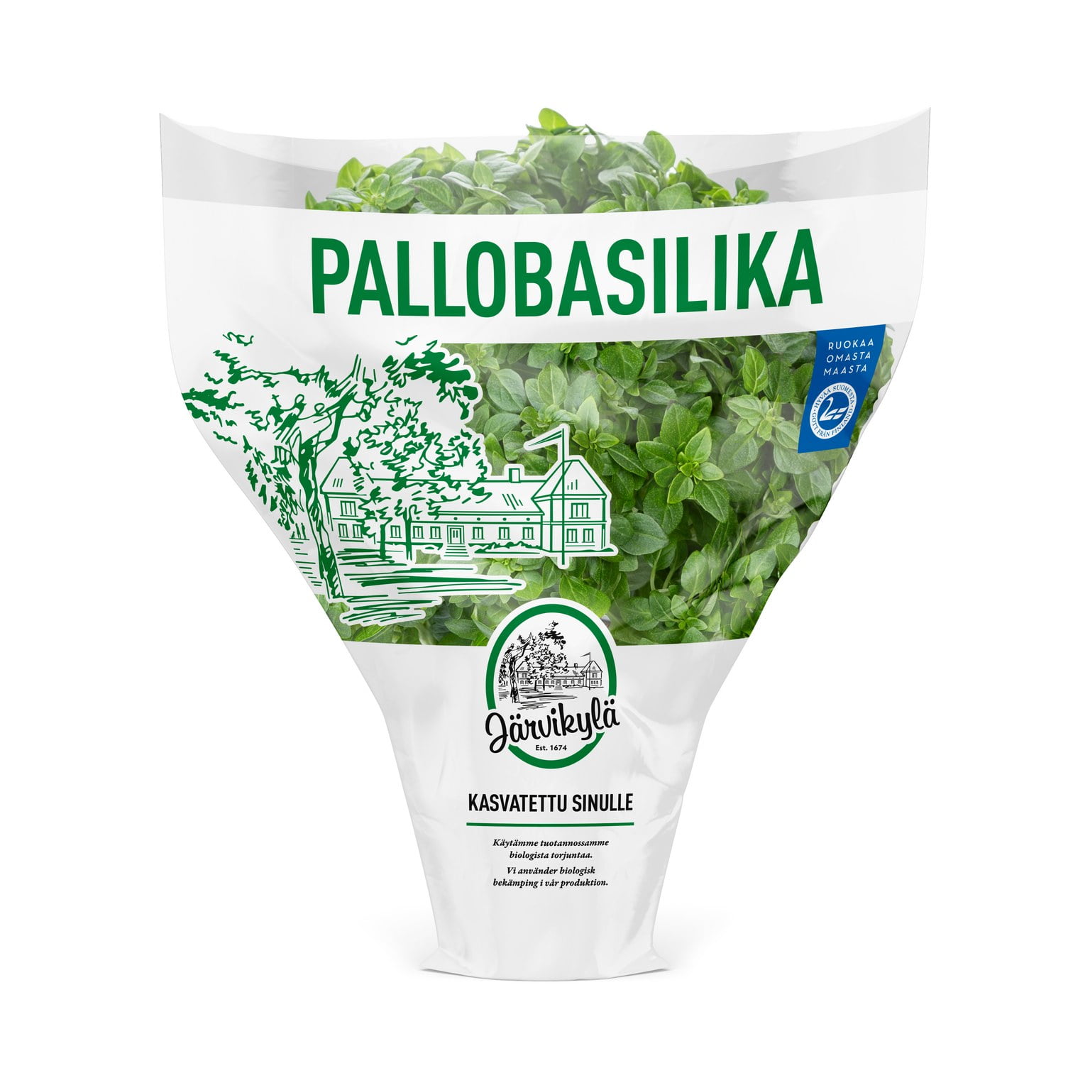 Järvikylän pallobasilika