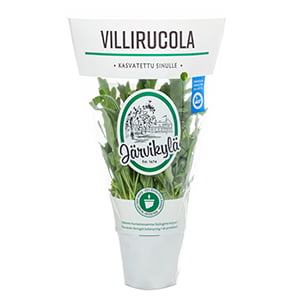 Villirucola Järvikylä