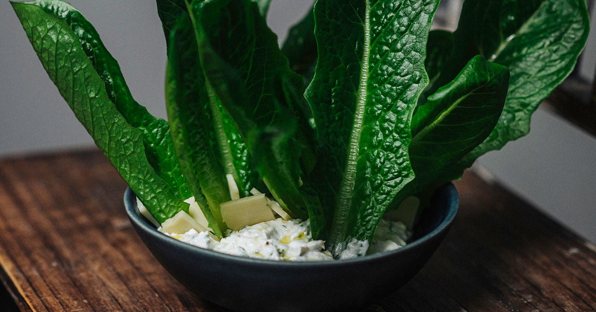 Romaine-dippi
