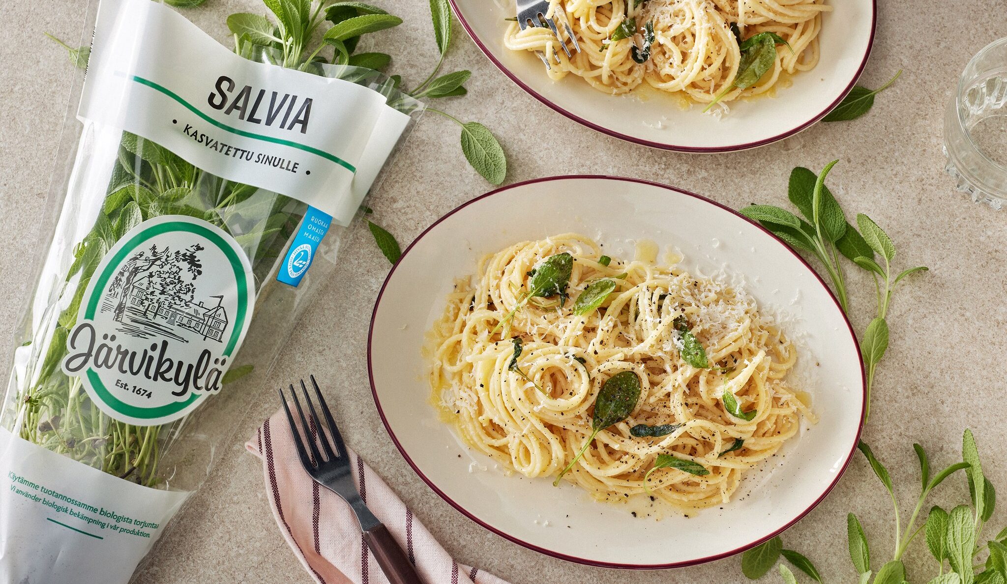 Salvia-voipasta