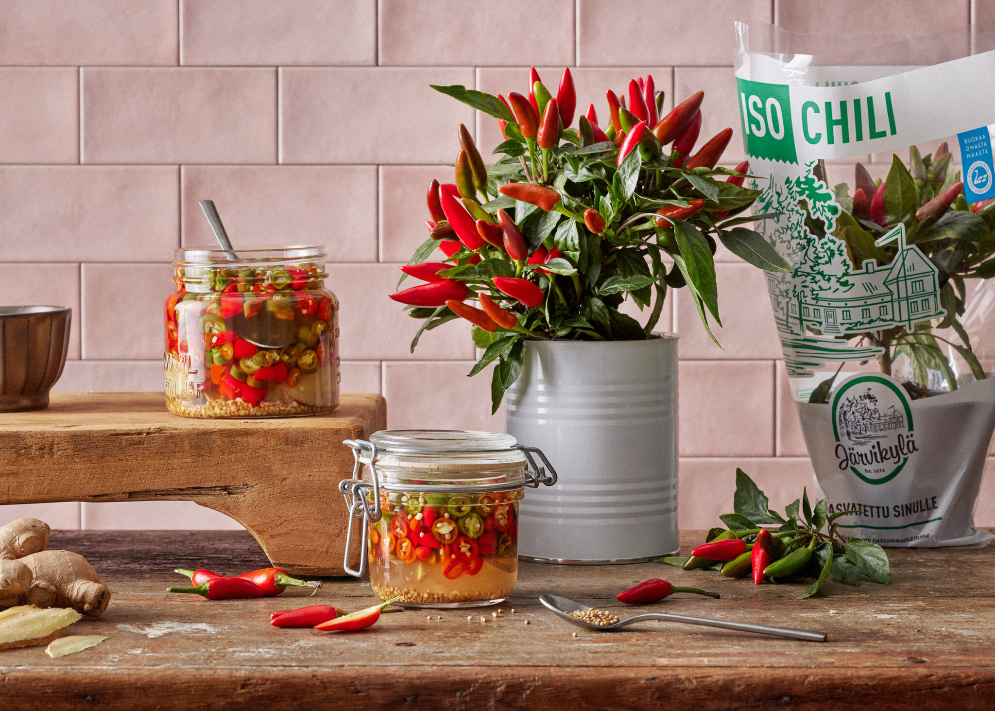 Pikkelöity chili - Järvikylän Chili
